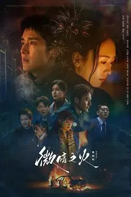 《微暗之火》：在微光中寻找真相的悬疑爱情故事