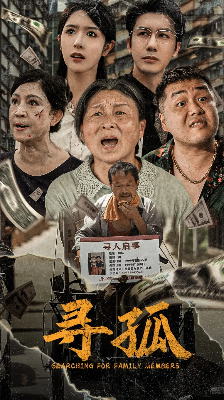 《寻孤》：一场跨越十年的亲情救赎与爱情抉择