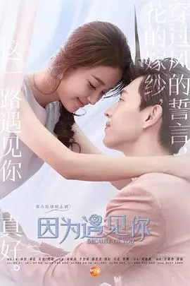 《因为遇见你》：一场关于梦想与爱的治愈之旅
