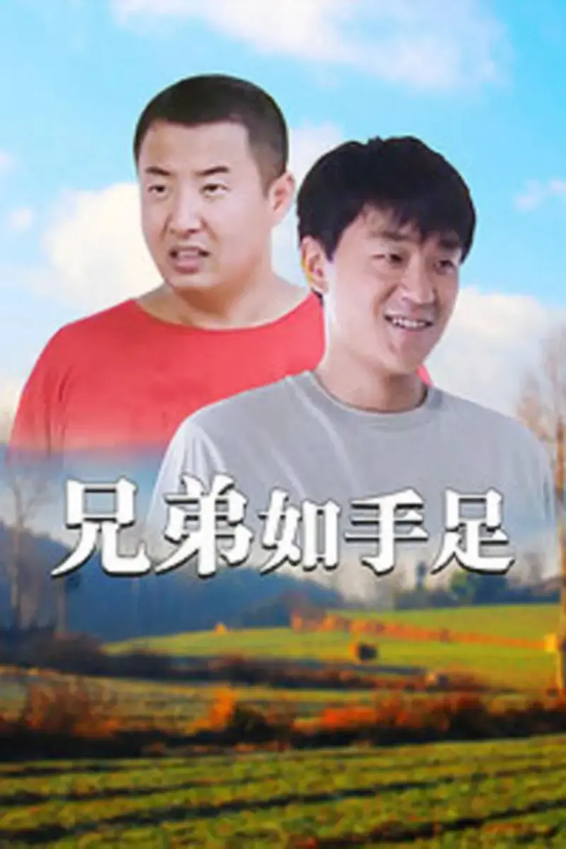 《兄弟如手足》：超越血缘的羁绊，一部笑泪交织的成长史诗，年度催泪弹预警！