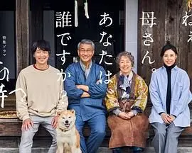 《有母亲等待的故乡》影评：漂泊游子的心灵归宿，感人至深的母爱呼唤