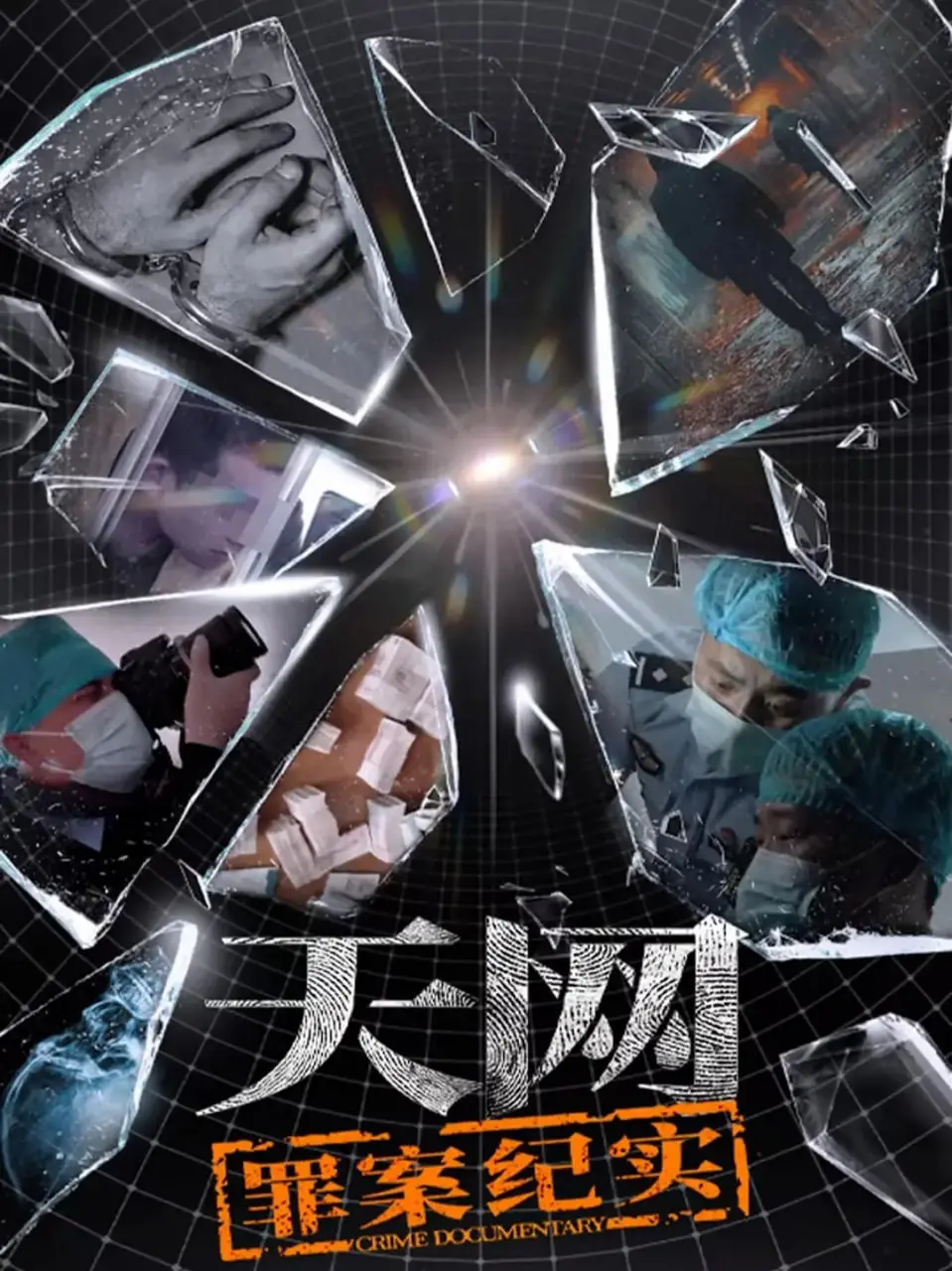 天网：罪案纪实 - 一部揭露高科技犯罪侦破的惊心动魄纪实电影，探索罪犯心理与执法变革